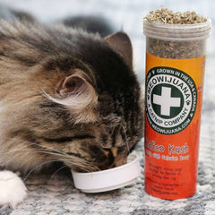 Organic USA-grown catnip leaves with a rich aroma for curious cats.