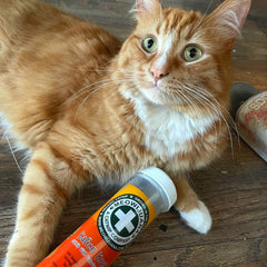 Ideal for DIY cat toys to encourage interactive playtime.