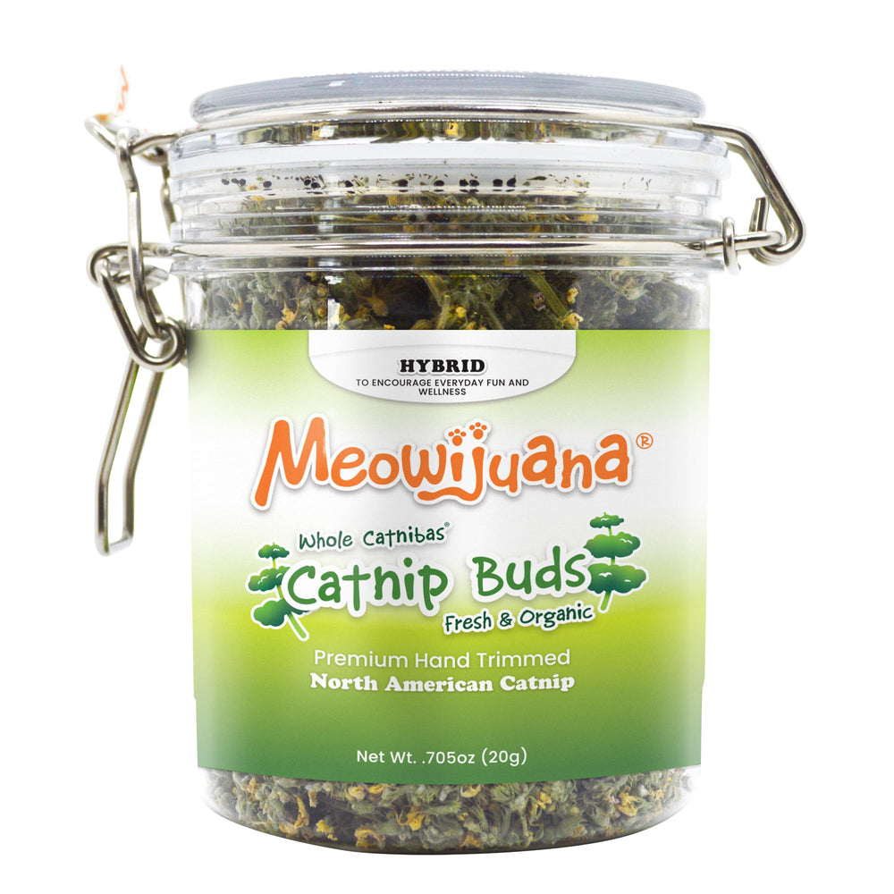 Meowijuana catnip release during play encouraging curiosity and interaction.