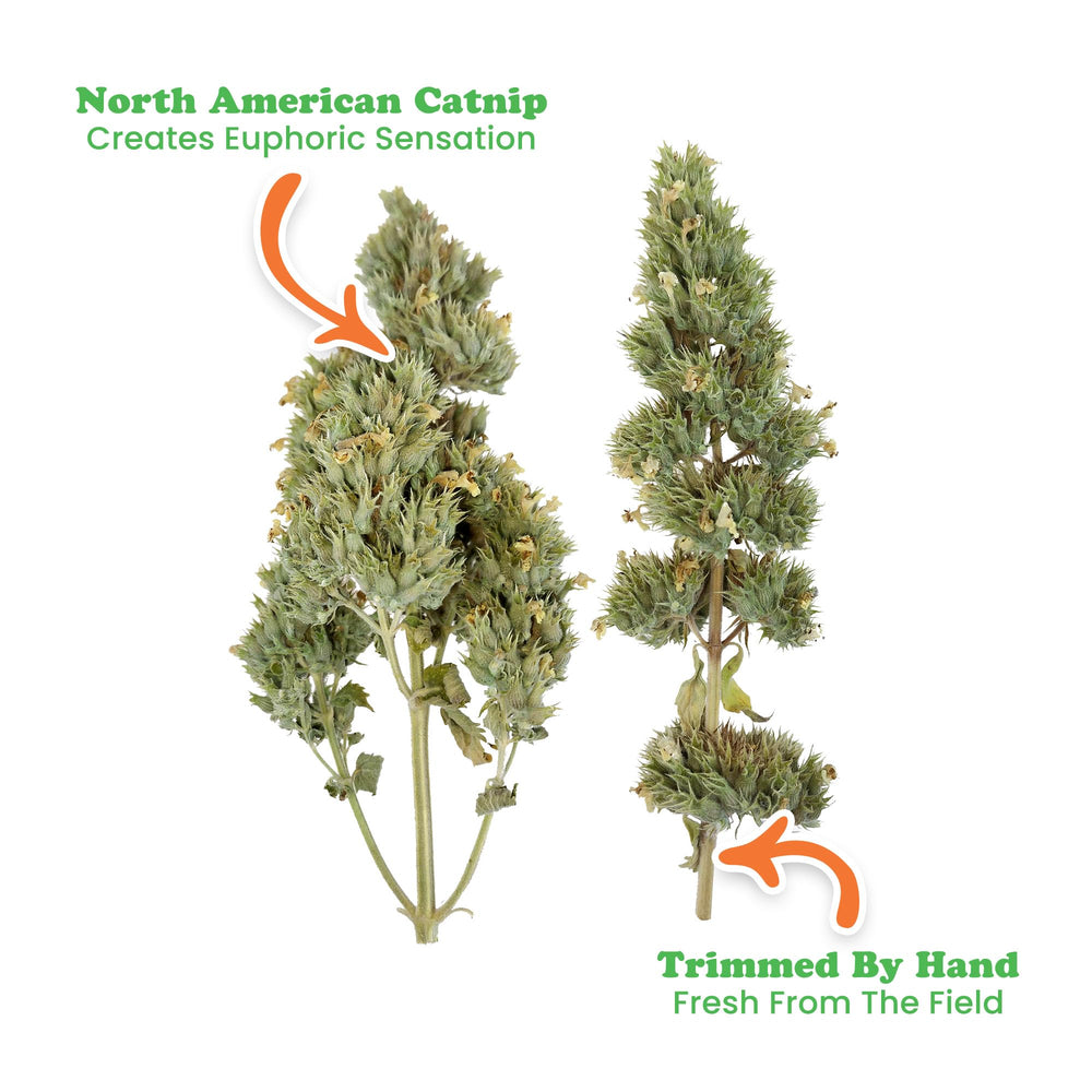 Meowijuana organic catnip leaves closeup highlighting natural aroma.