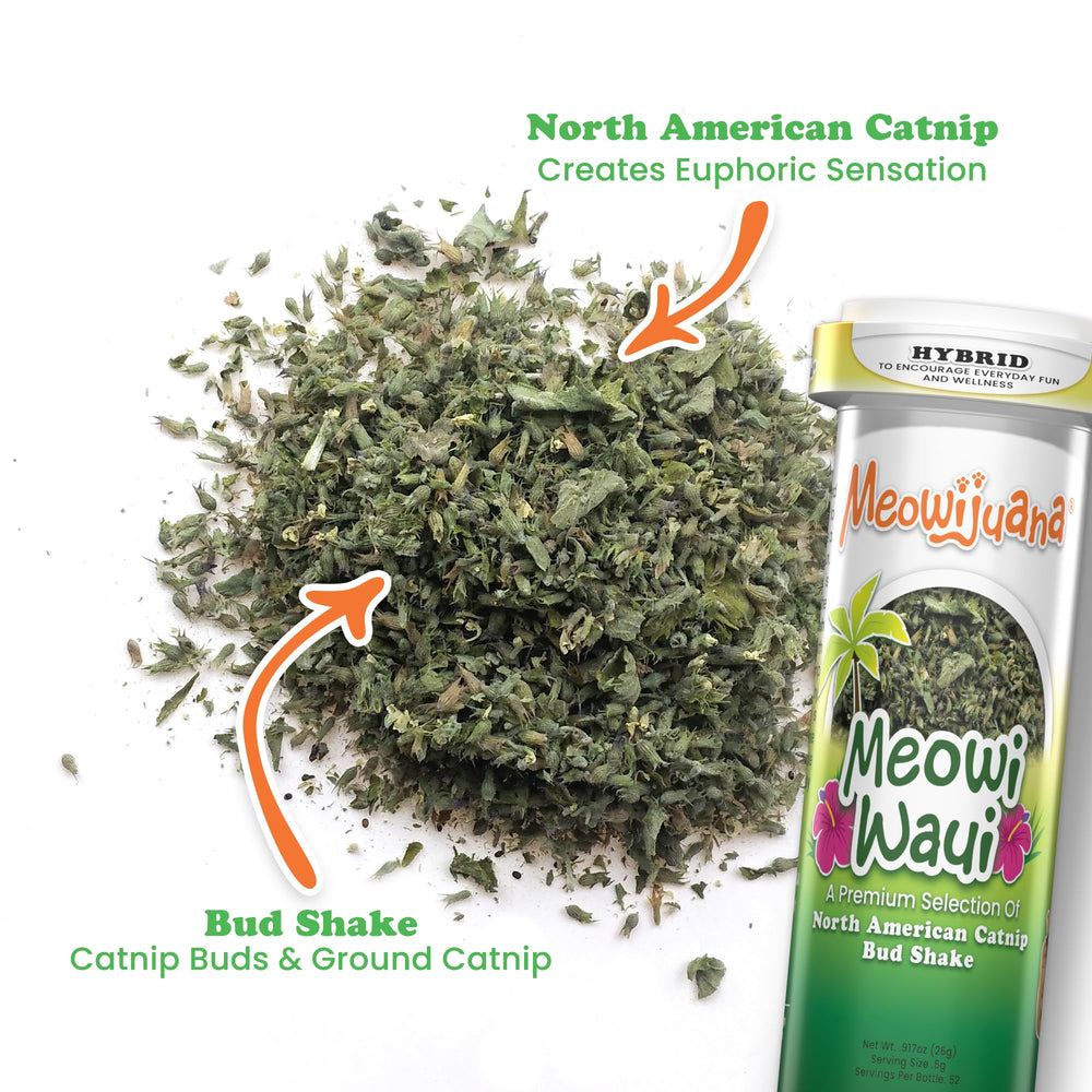 Meowijuana organic high-potency catnip leaves in a can for potent play sessions.