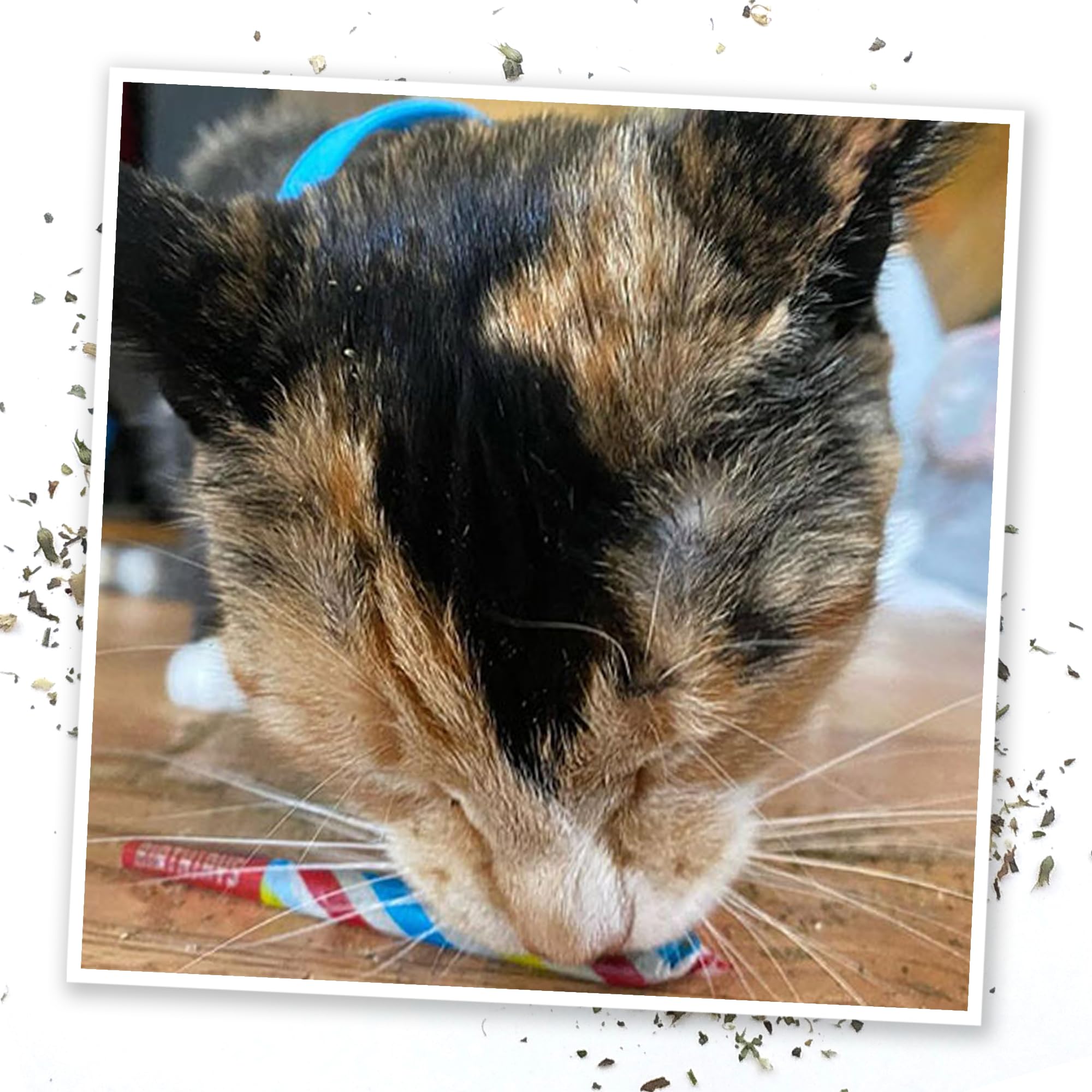 Meowijuana refillable plush toy with catnip for sustained play.