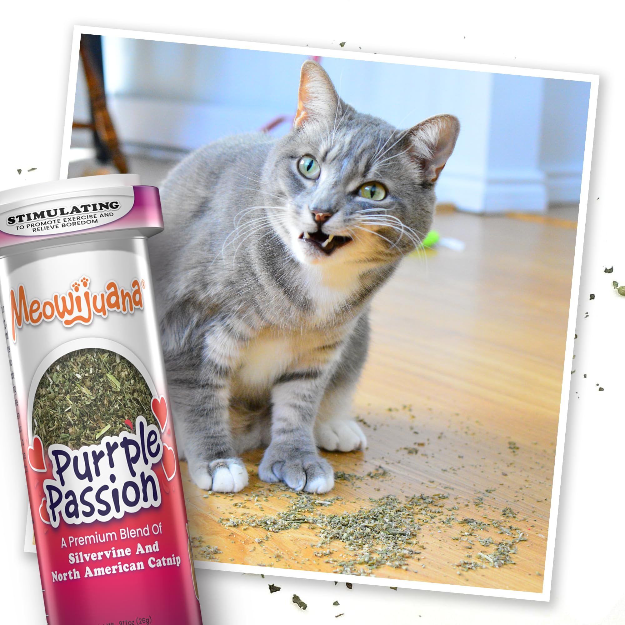 Meowijuana sprinkled scratcher toy highlights versatile use with refillable toys.