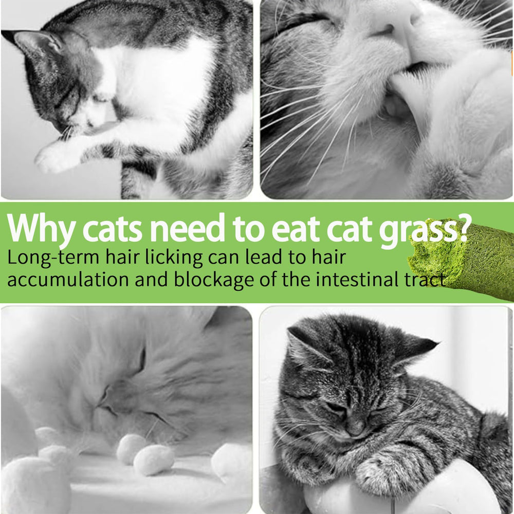 Indoors outdoors: suitable for cats of all ages, no artificial ingredients.