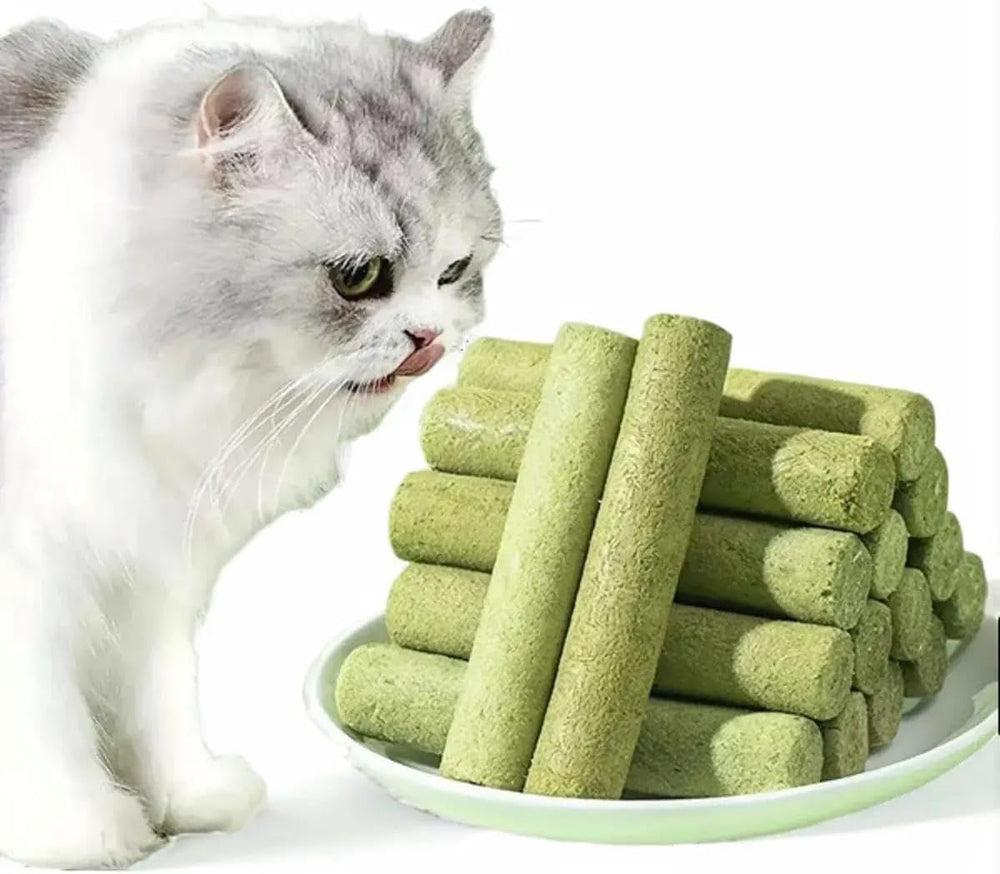 Hairball relief focus: cat nibbling Meowly cubes to aid hairball management.