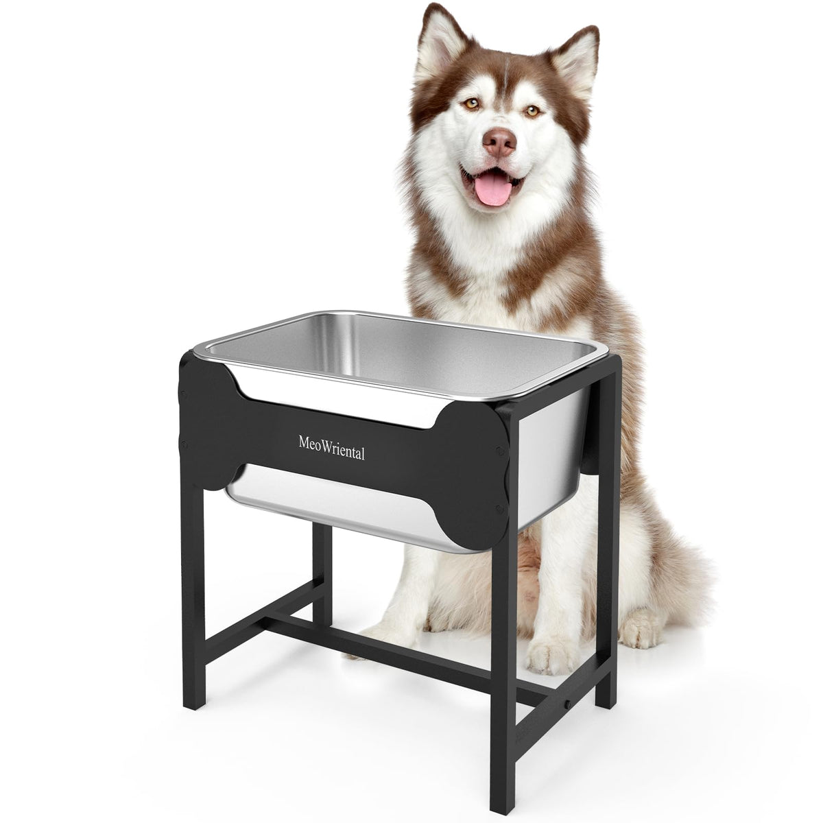 MeoWriental elevated dog water bowl with 2.5-gallon capacity for large breeds.