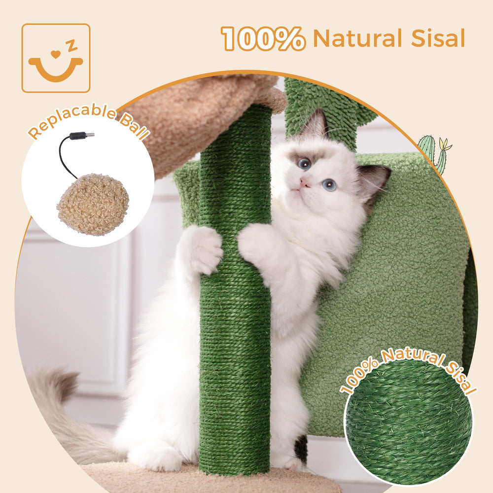 Meowrista cactus cat tree hammock suspends softly for peaceful naps
