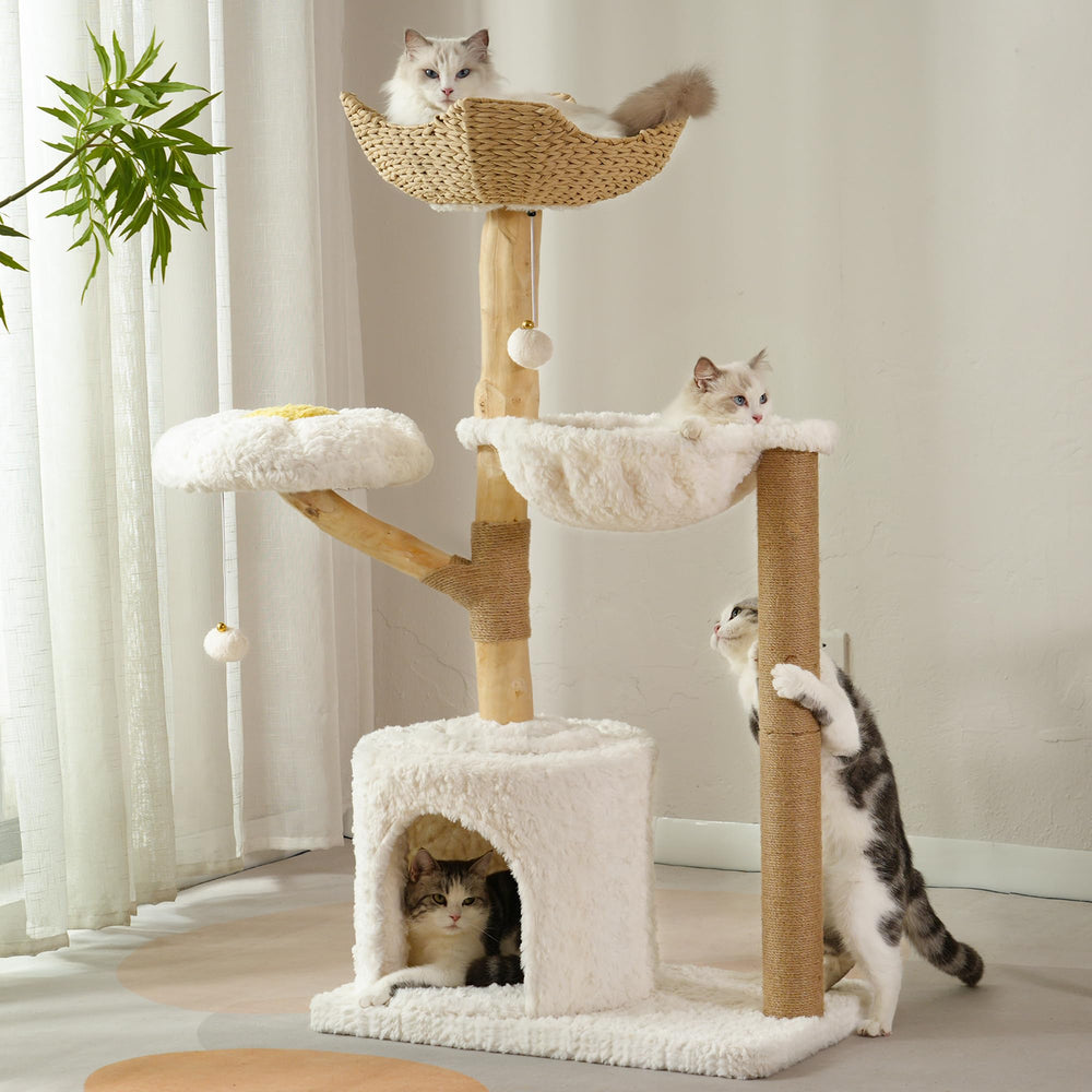 Meowrista modern cat tree top basket lounging area for large cats.