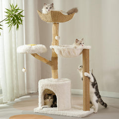 Meowrista modern cat tree top basket lounging area for large cats.