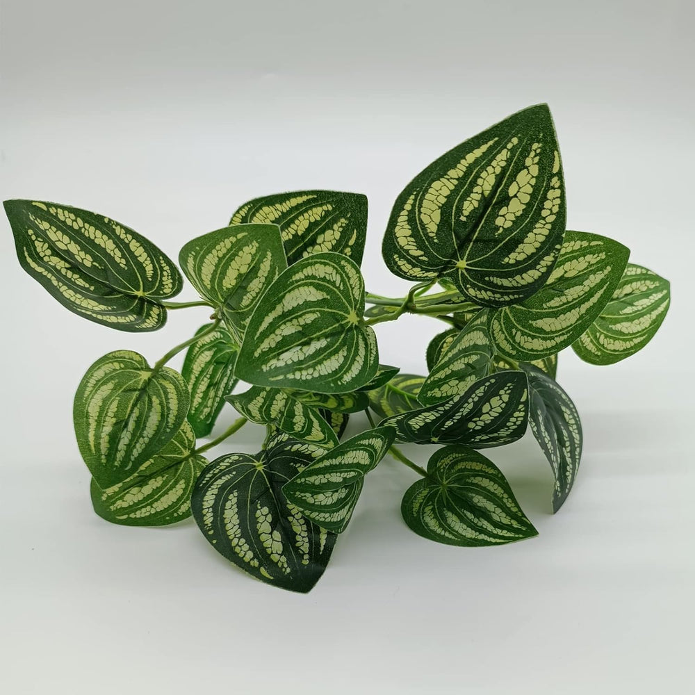 MEPHAN DIY-ready decor encourages creative enclosure design.