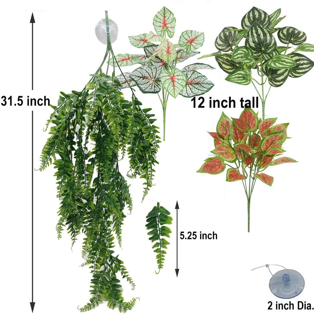 MEPHAN hanging ivy plants 12 inch for vertical terrarium greenery.