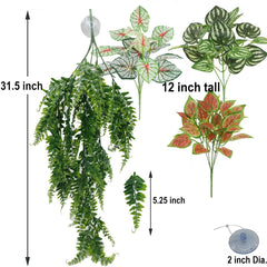 MEPHAN hanging ivy plants 12 inch for vertical terrarium greenery.