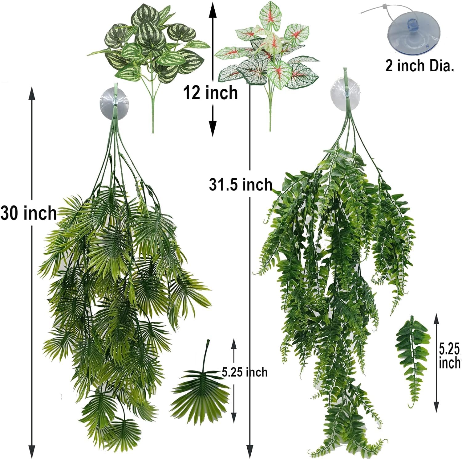 MEPHAN reptile mini ivy 12in adds safe, natural-looking decor.