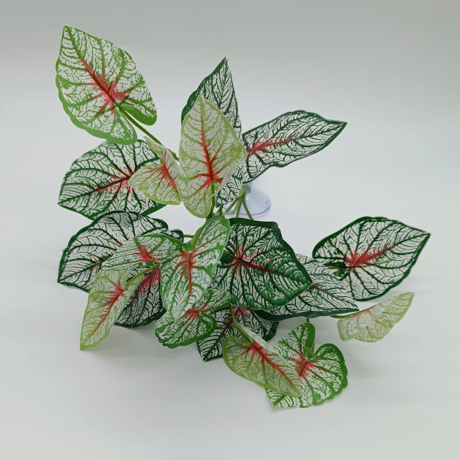 MEPHAN reptile suction cups 2 inch secure terrarium mounting.