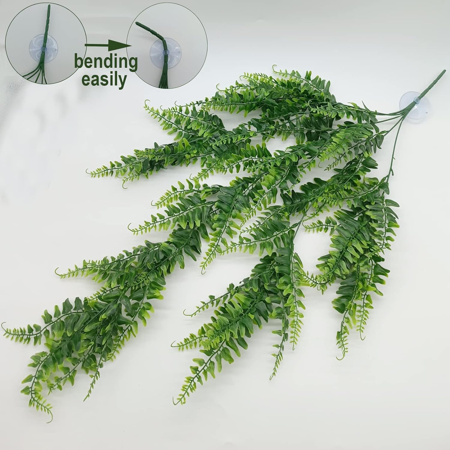 MEPHAN strong suction cups 2inch securely mount to terrarium walls.