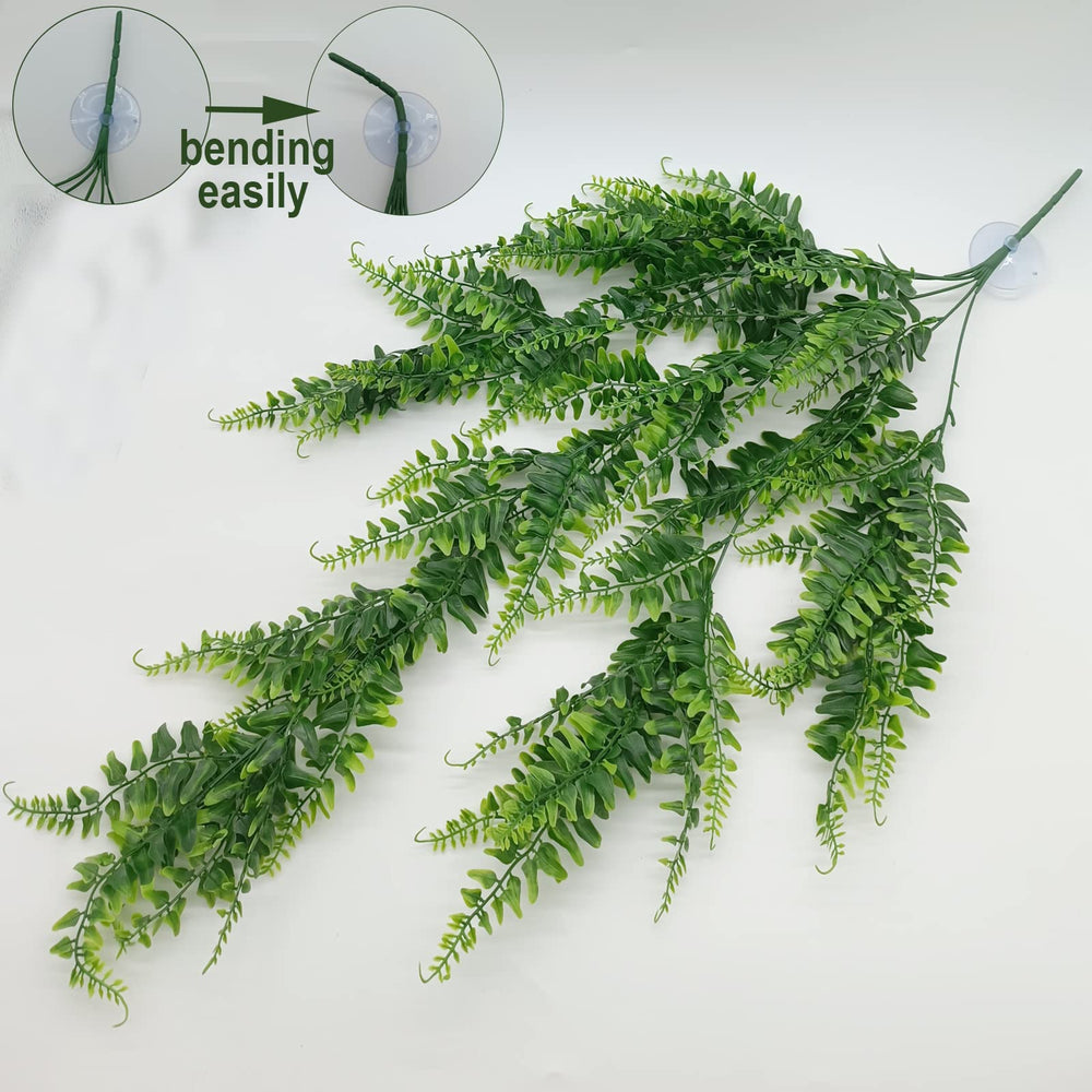MEPHAN suction cups 2 inch secure greens to terrarium walls.