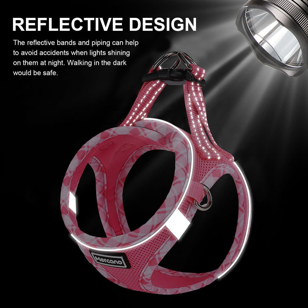Mercano dog ID attachment and D-ring for safety and tag placement