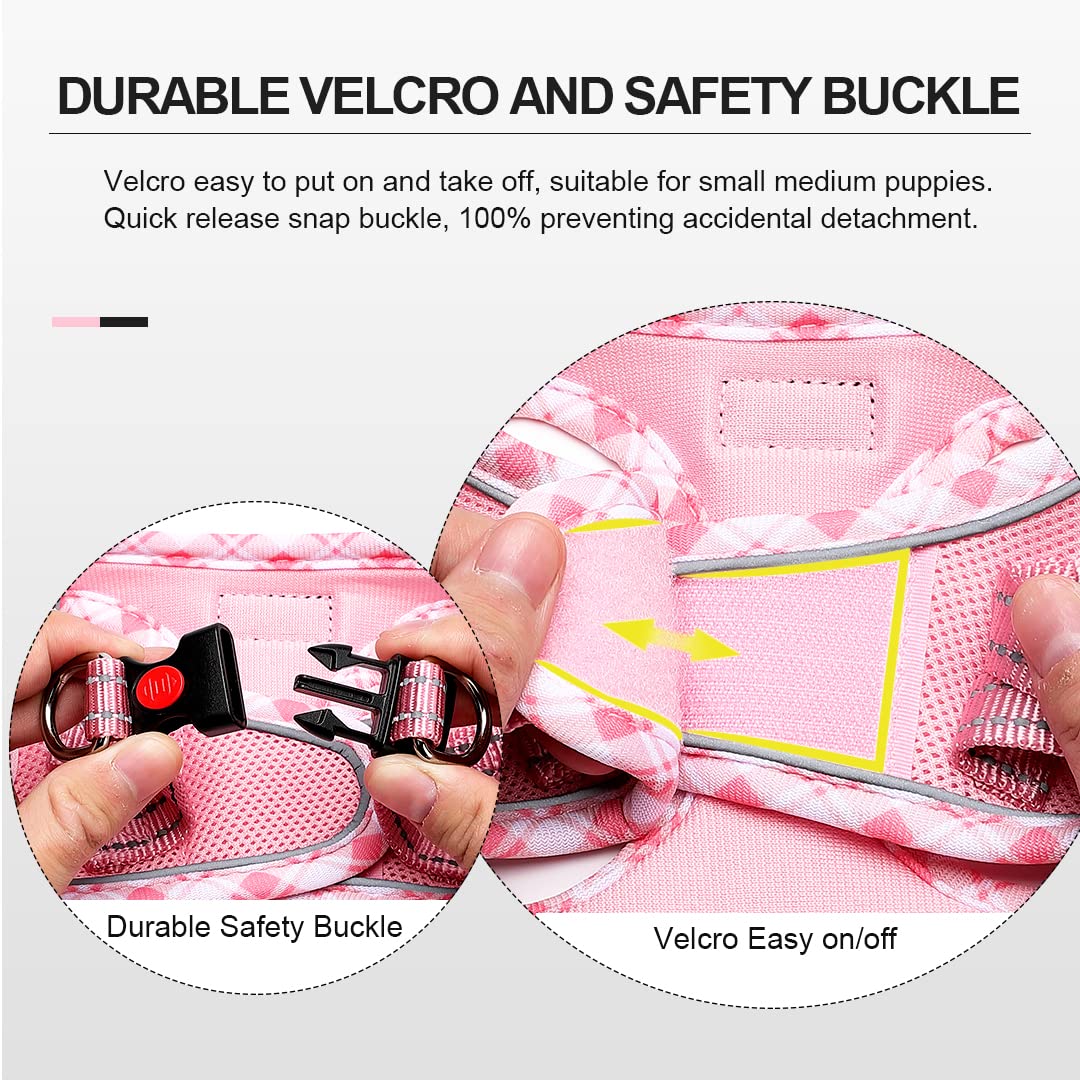 Mercano easy-wear harness kit designed for effortless daily walks