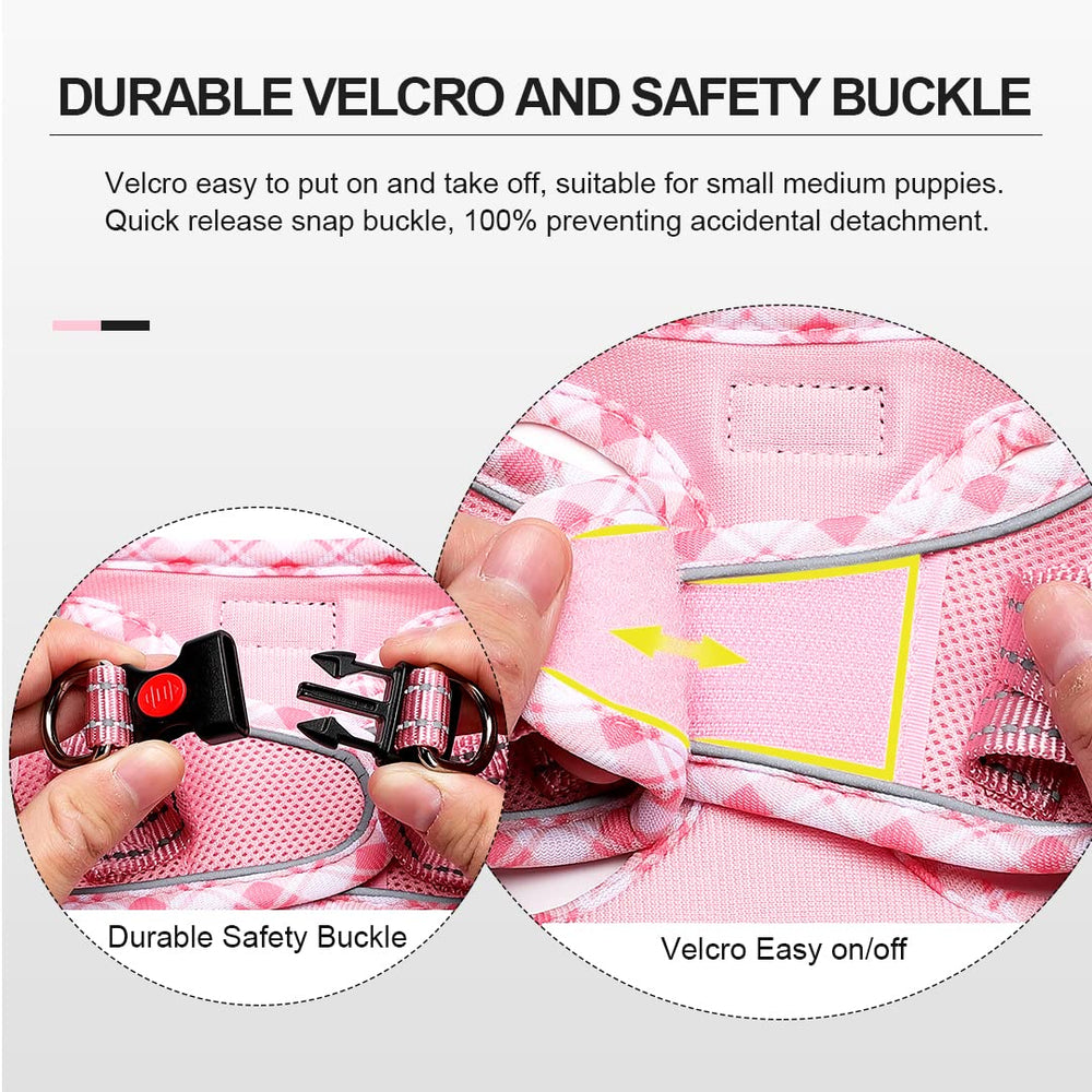 Mercano easy-wear harness kit designed for effortless daily walks