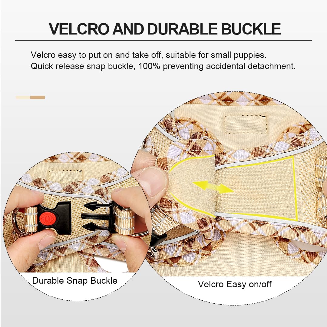 Mercano no-choke design with safety buckle protects throat during walks