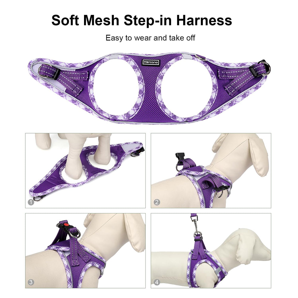 Mercano harness with ID tag side D-ring for easy tagging.
