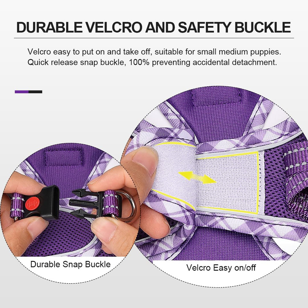 Mercano harness with reflective stripes for night visibility