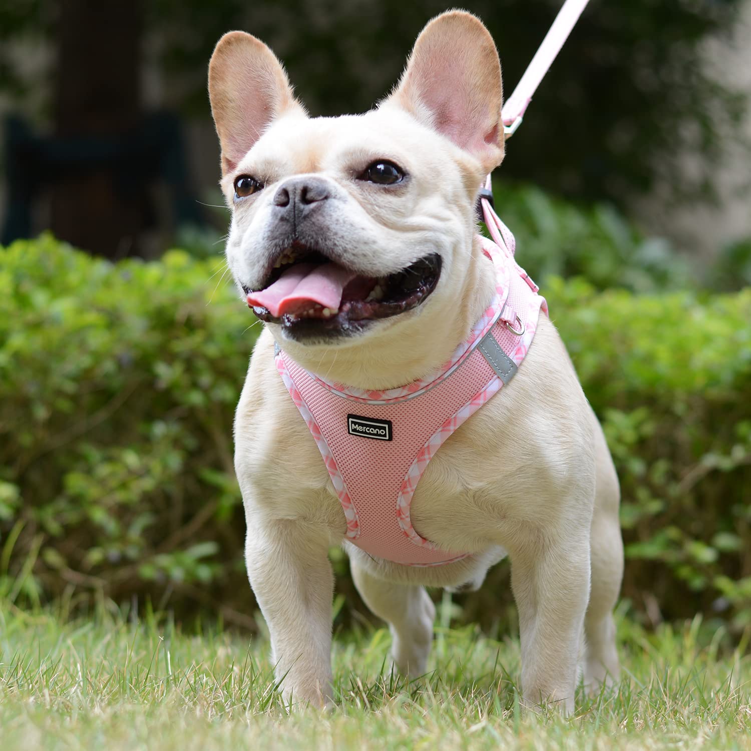 Mercano harness with reflective stripes for night visibility during walks
