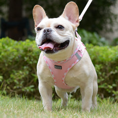 Mercano harness with reflective stripes for night visibility during walks