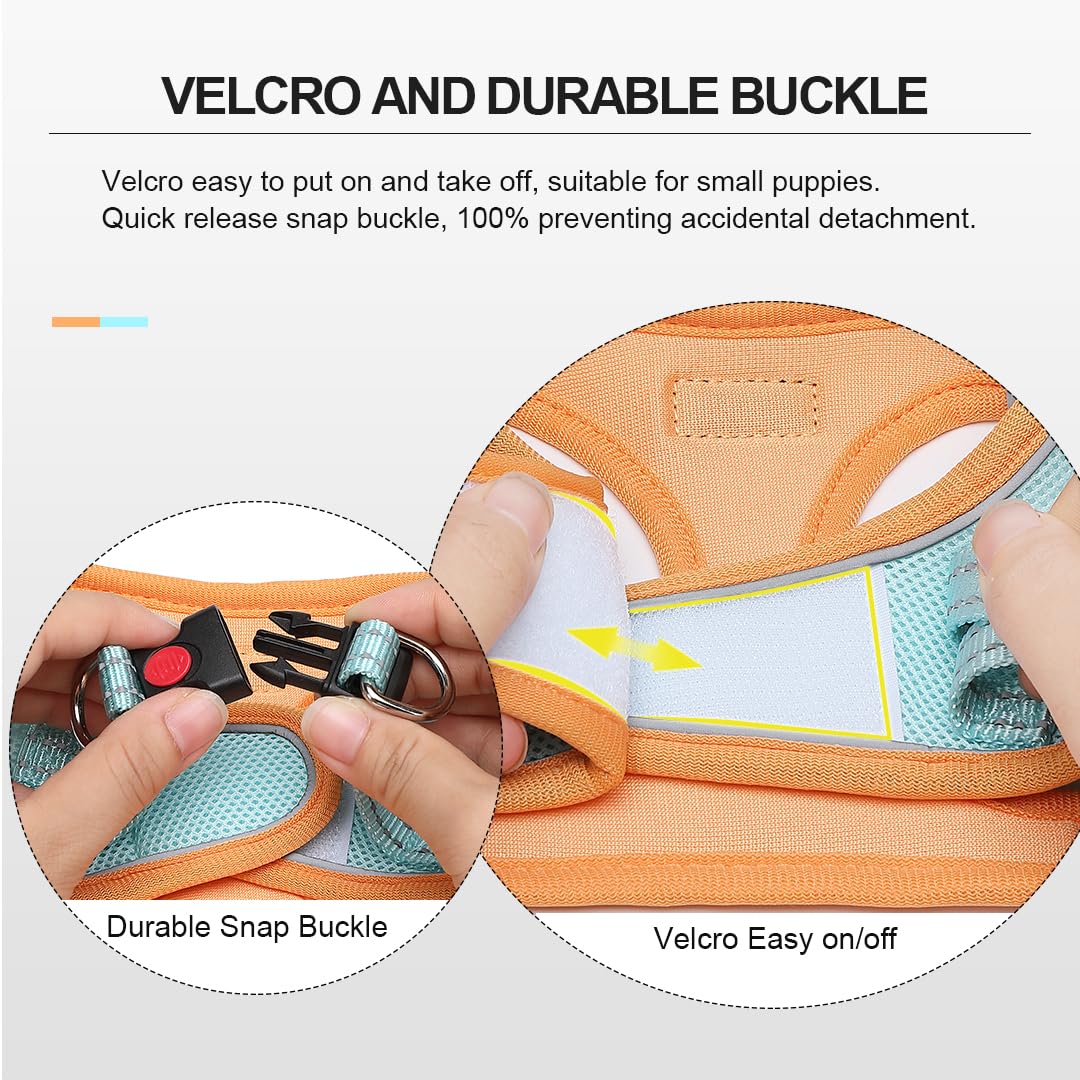 Mercano harness with reflective stripes enhances visibility during night walks