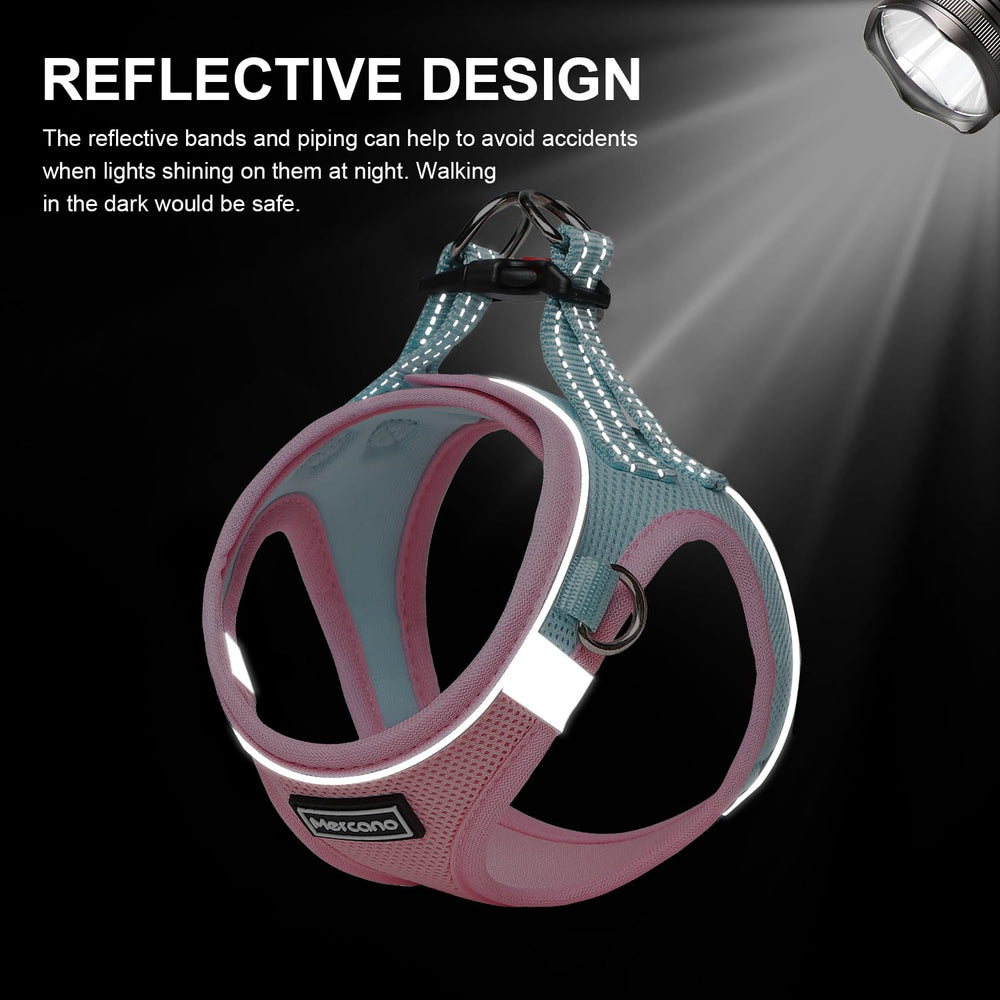 Mercano ID tag clip and D-ring for attaching tags and lights