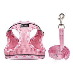 Step-in harness with quick-release buckle for easy on and off.