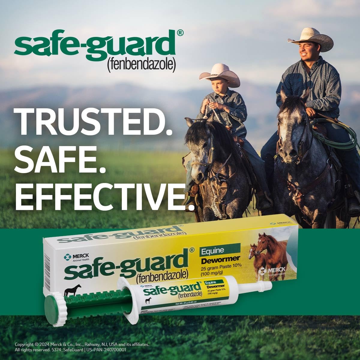 Dosing up to 1100 lb horses with a 25 g paste tube.