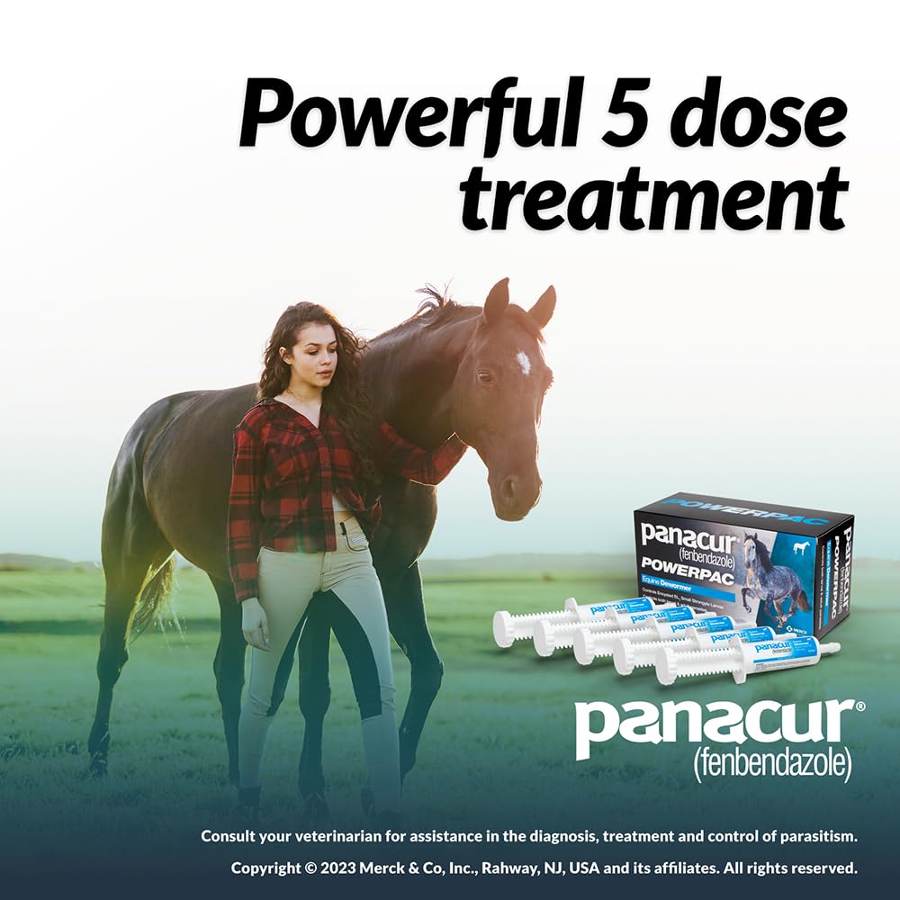 Label shows 10% fenbendazole for broad equine deworming