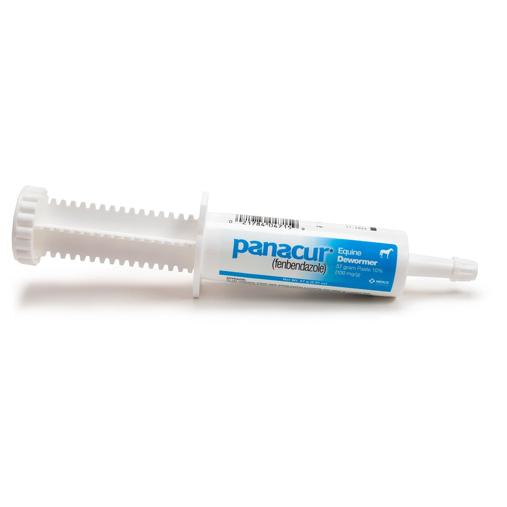 Paste texture close-up highlights smooth dosing experience