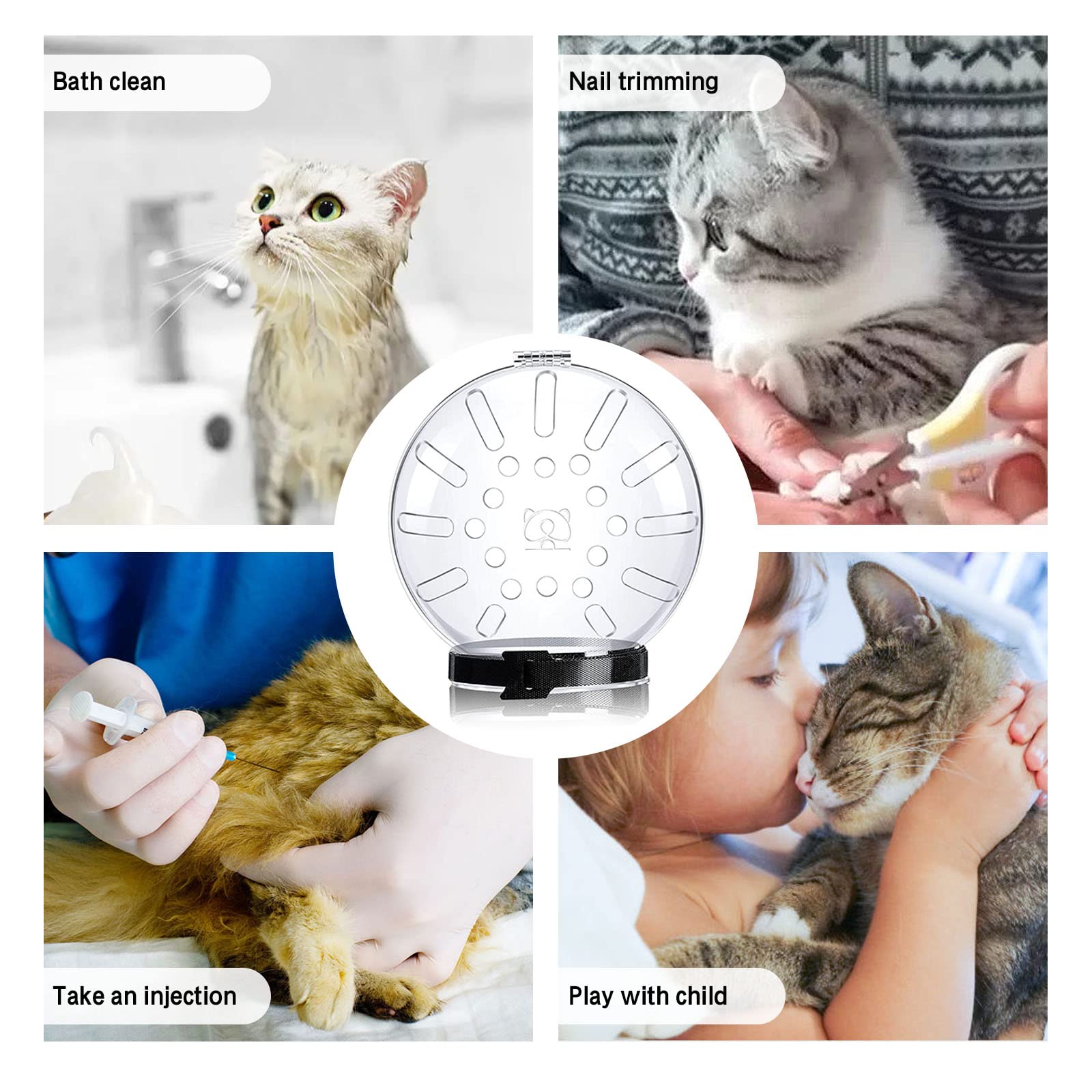 Size M fits medium cats and is easy to adjust.