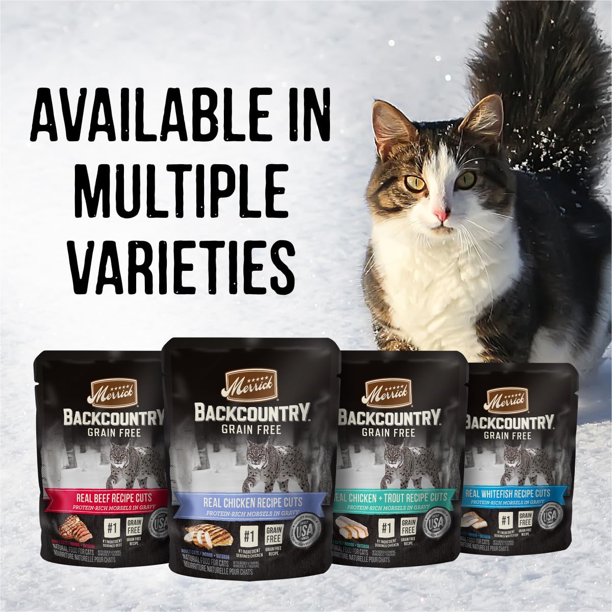 Merrick Backcountry-artificial-colors-flavors-preservatives-free formula, clean taste.
