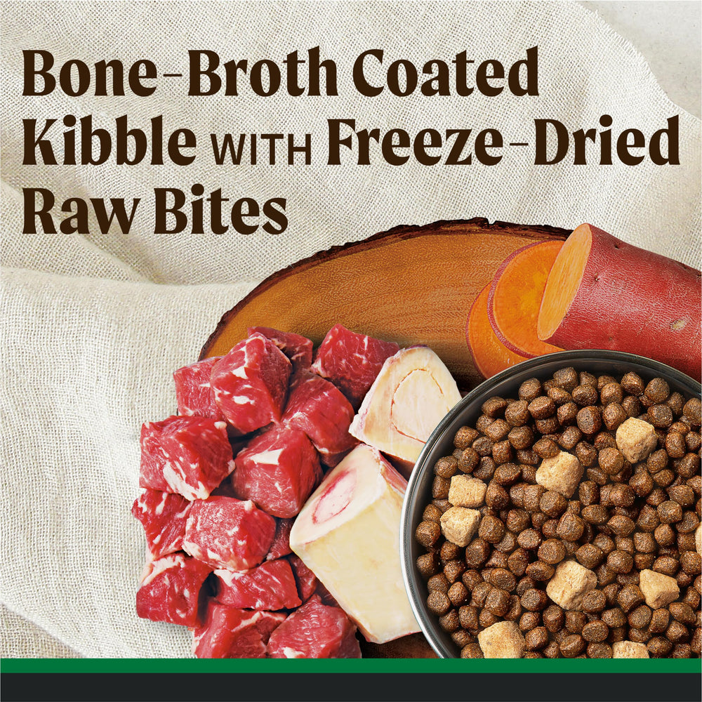 Merrick Backcountry bone broth-coated kibble entices with savory aroma.