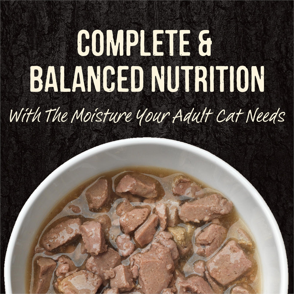 Merrick Backcountry grain-free-beef-morsels-in-gravy, protein-rich with hydration.