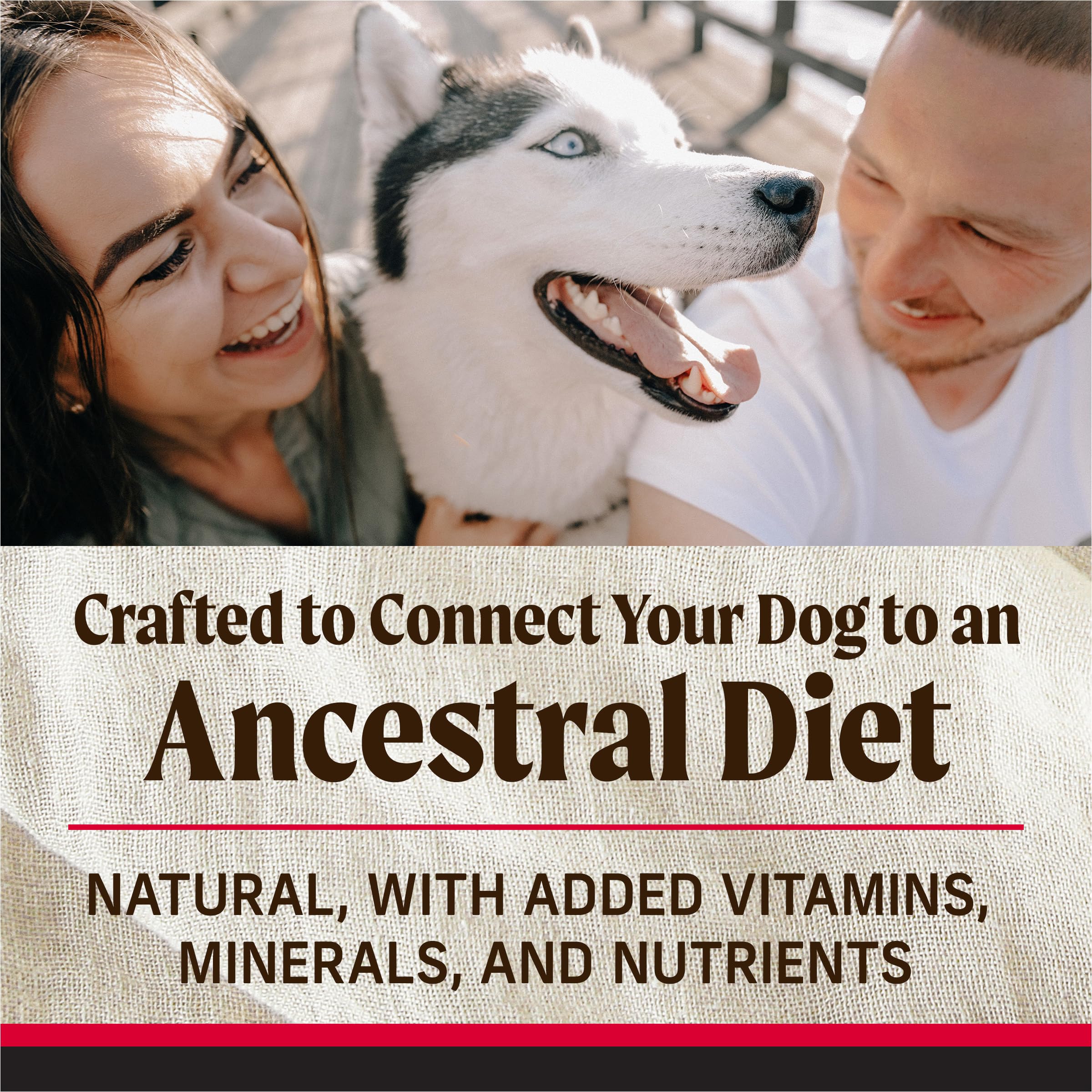 Merrick Backcountry grain-free kibble and raw bites closeup emphasizes texture and variety