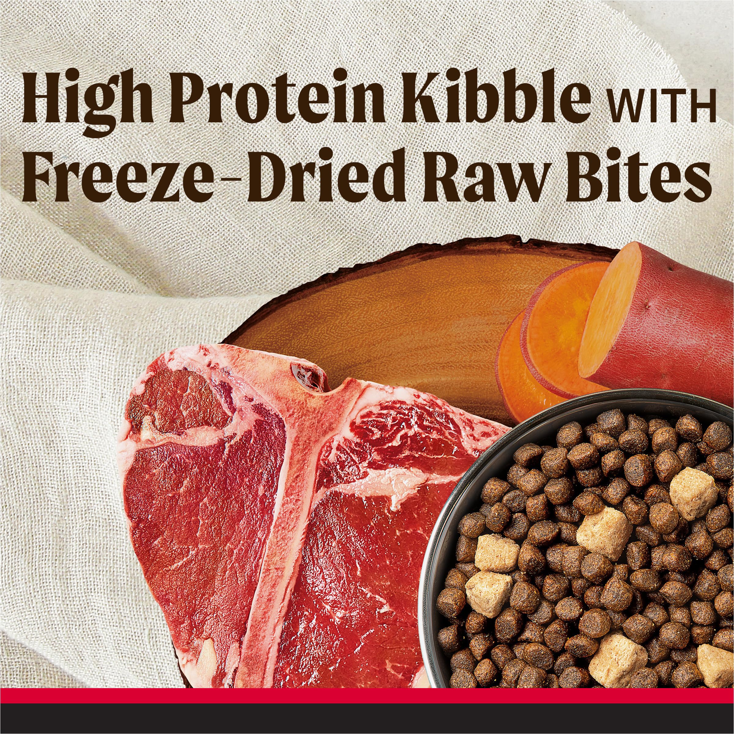 Merrick Backcountry kibble close-up highlighting texture and wholesome ingredients.
