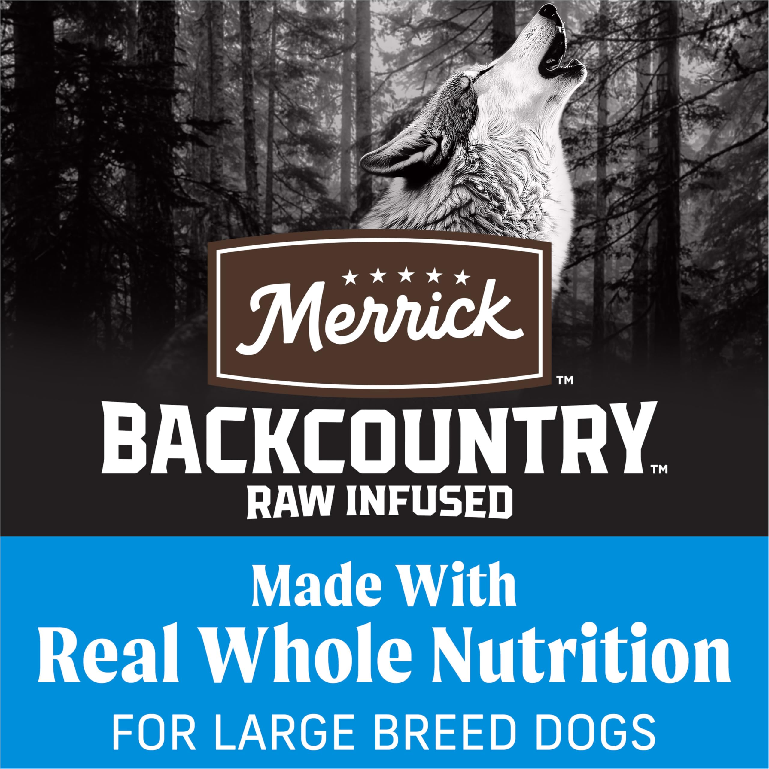 Merrick Backcountry large breed kibble close-up showing deboned chicken first ingredient.