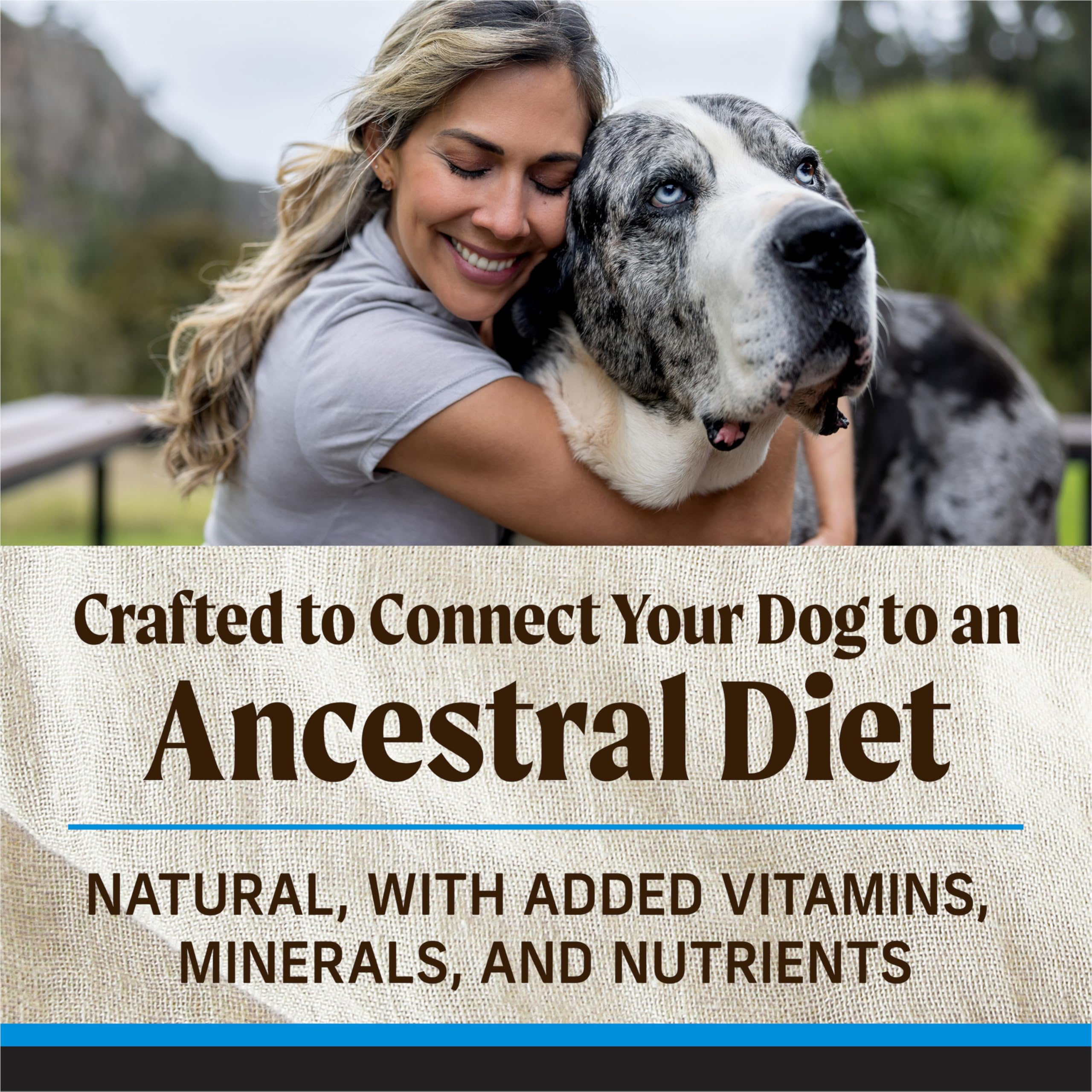 Merrick Backcountry grain-free dry dog food in a bowl highlighting texture.