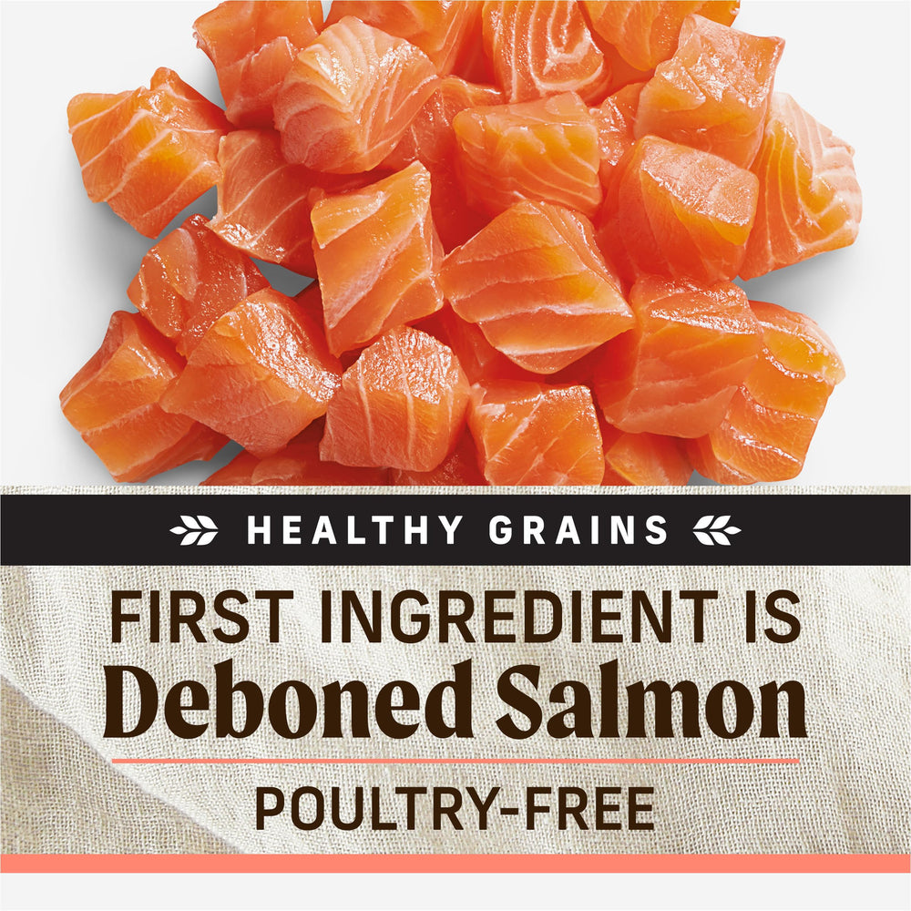 Ingredient blend close-up reveals salmon, whitefish, and grains.