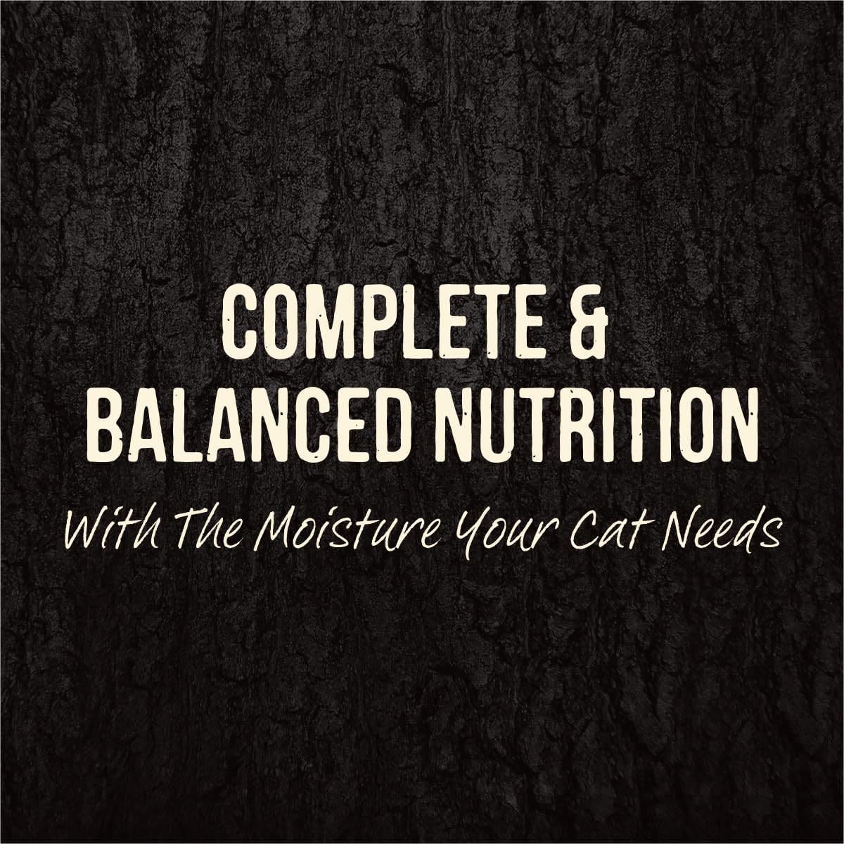 Merrick Backcountry-premium-wet-cat-food-24-pack, convenient single-serve pouches.