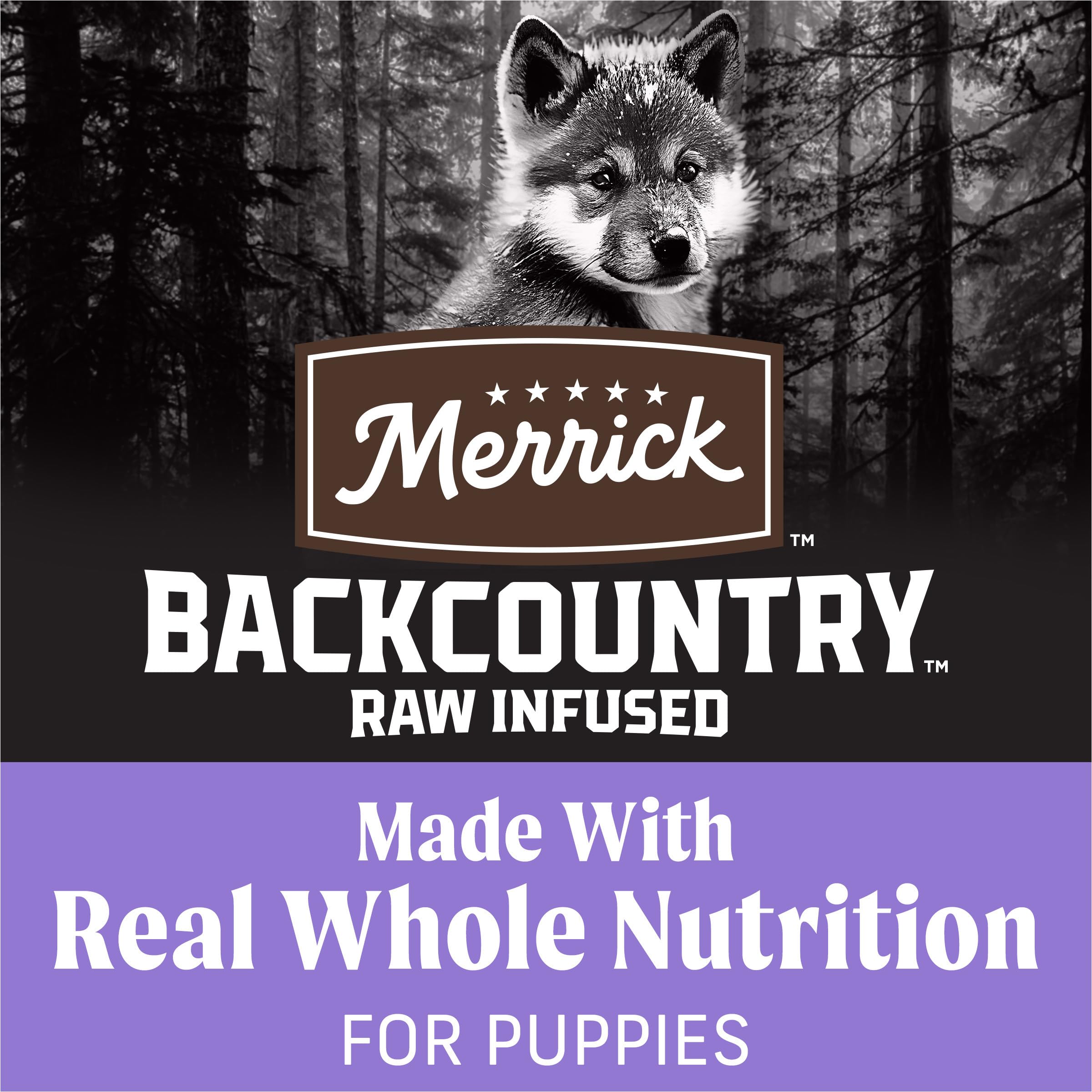 Merrick Backcountry puppy kibble closeup highlights high-protein bites for energy.