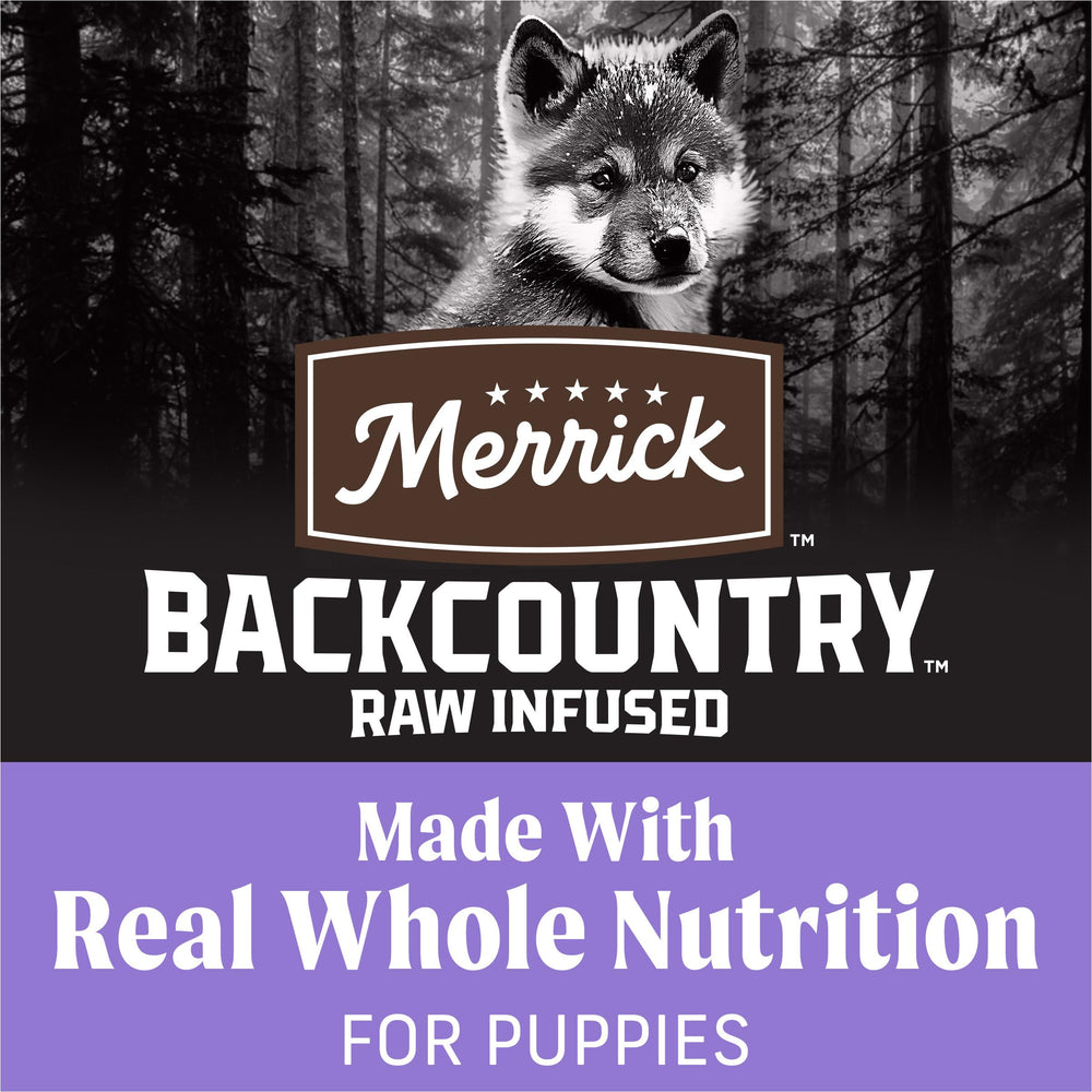 Merrick Backcountry puppy kibble closeup highlights high-protein bites for energy.