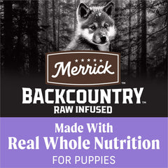 Merrick Backcountry puppy kibble closeup highlights high-protein bites for energy.