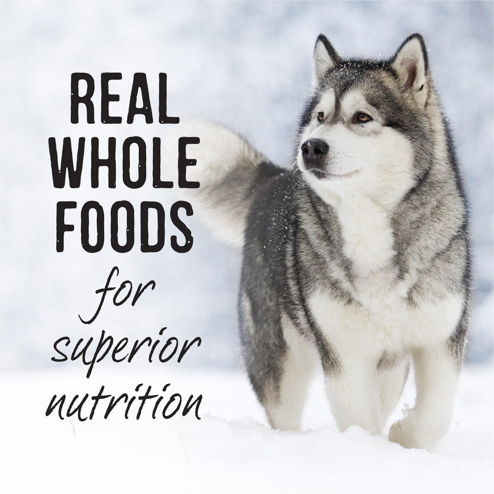 Merrick Backcountry serving over kibble to create a moist dual-textured meal.