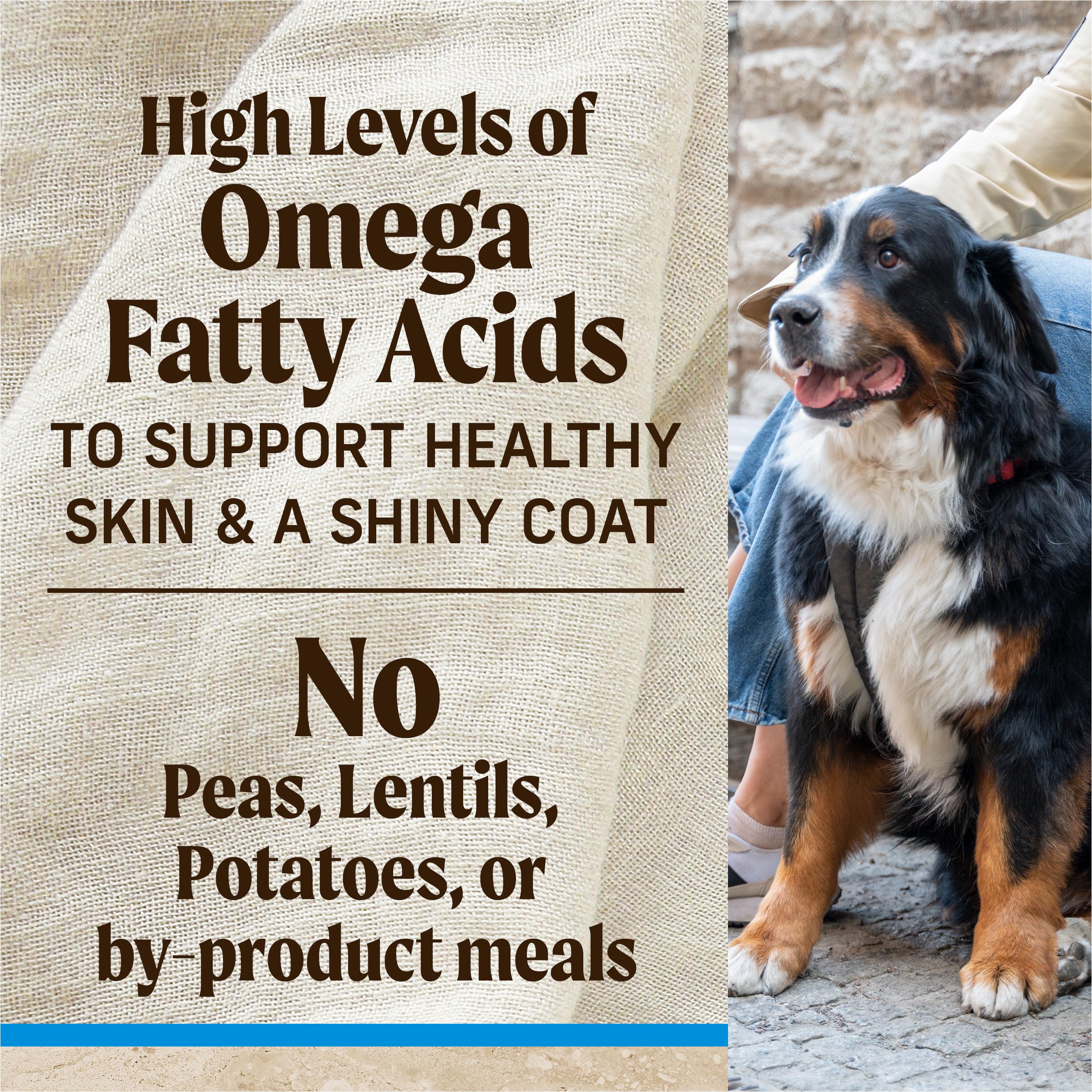 Merrick Chicken and Rice Kibble supports daily energy and lean muscles
