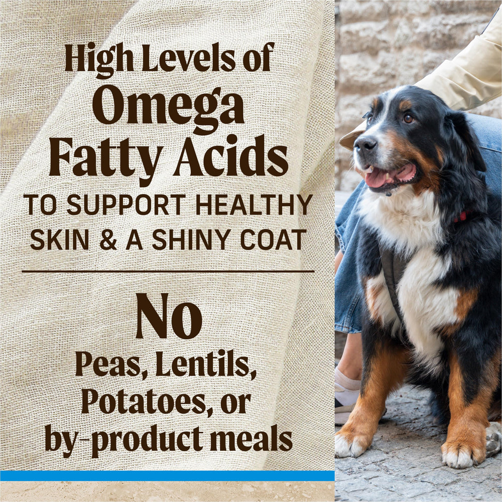 Merrick Chicken and Rice Kibble supports daily energy and lean muscles